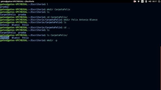 Como eliminar carpetas con archivos por consola смотреть онлайн