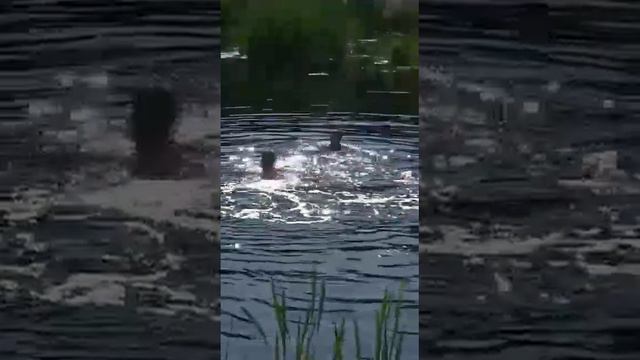 у томпонажники опять три Луны смотреть онлайн