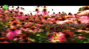 Просто Шикарная Новинка! Послушайте! Колибри!