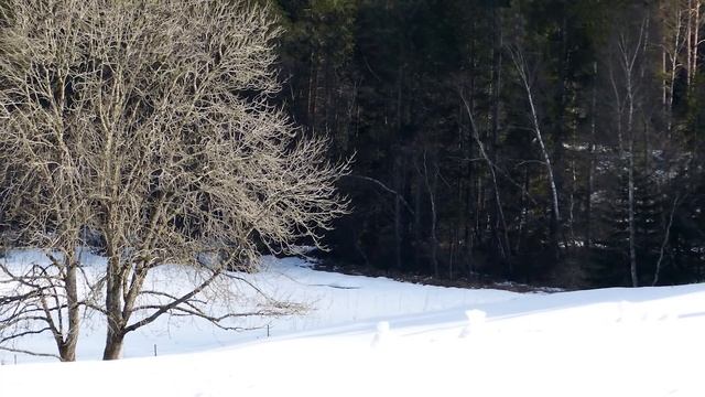 Евангелие дня.Чтимые святые дня. Седмица 2-я по Пасхе. (01 мая 2020 г.) смотреть онлайн