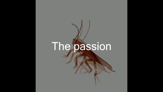 Papa Roach -  Between Angels And Insects (Lyrics + Dancing Roach)