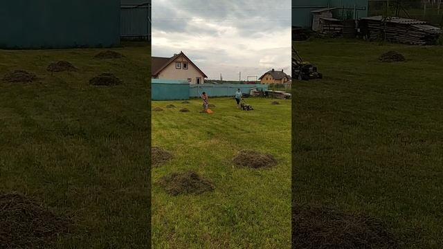 Новая газонокосилка смотреть онлайн