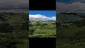 Шри-Ланка. Канатная дорога, пик Адама, экскурсия Элла.
Шри Ланка за 58 тысяч рублей. Тутси влог.