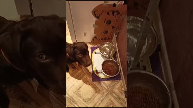 Команда "Можно" смотреть онлайн