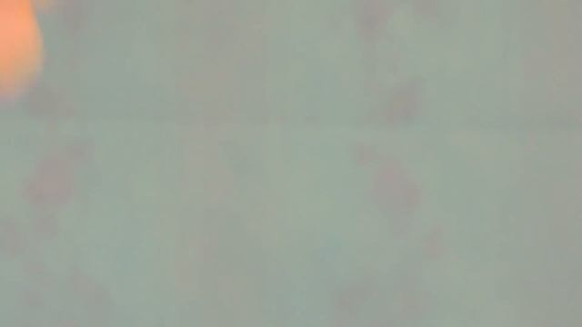 10 ЛУЧШИХ ЛАЙФХАКОВ ДЛЯ КОТА смотреть онлайн