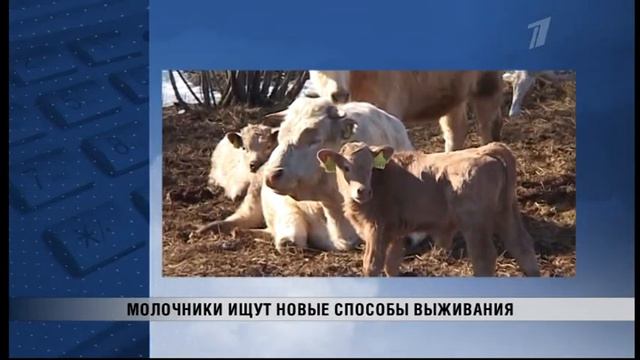ПБК Латвийское время 13.11.2015 смотреть онлайн