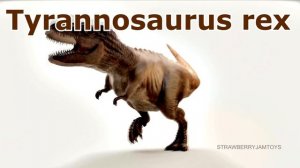 Wild Zoo Animals Toys Baby Mom Learn Animals Names Education Toys for Kids