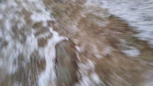 Котёнок потерялся