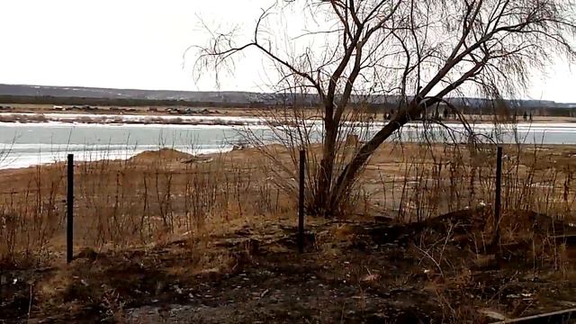 Ангара пошла в районе Усолье 24.03.2020 смотреть онлайн