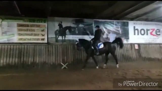 ВЛОГ 2. Продолжение. КСК Виера. Оливушка смотреть онлайн