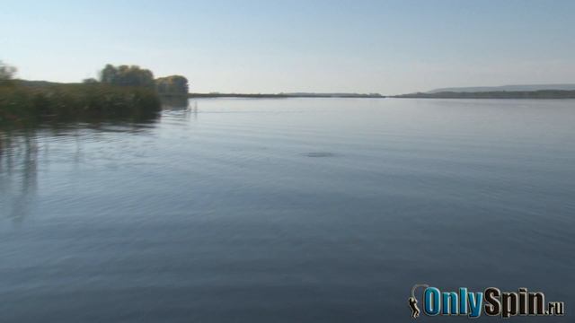 Семейство воблеров Vision Megabass