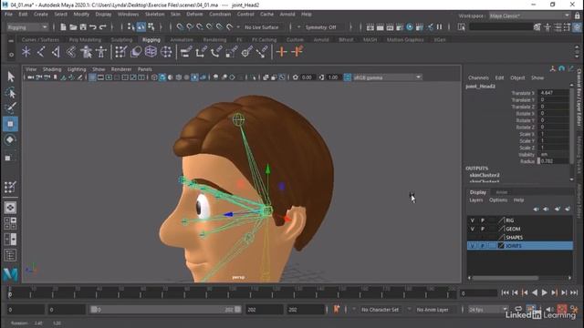 LYNDA MAYA  FACIAL RIGGING