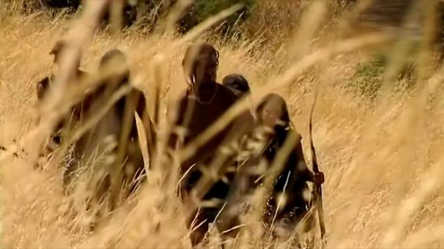 Христина Швець - Група крові (сюжет до програми ТЕМА: Кров) смотреть онлайн