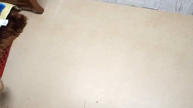 Мешок № 22112. Коврики для ванны. АВСТРИЯ. Арт 3012. вес 19кг смотреть онлайн