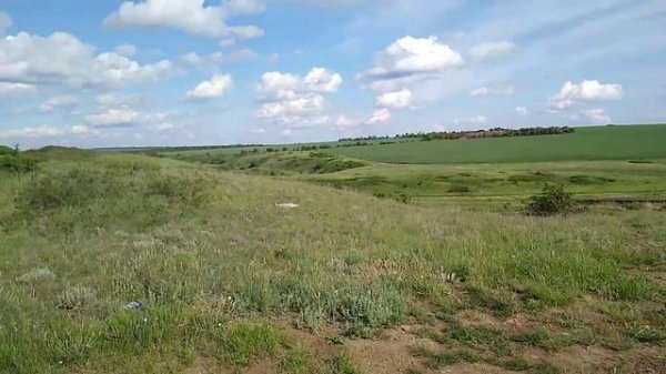 Природа Тацинского района