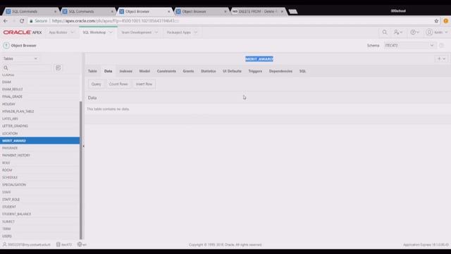 ITEC472 - PLSQL Project Presentation смотреть онлайн