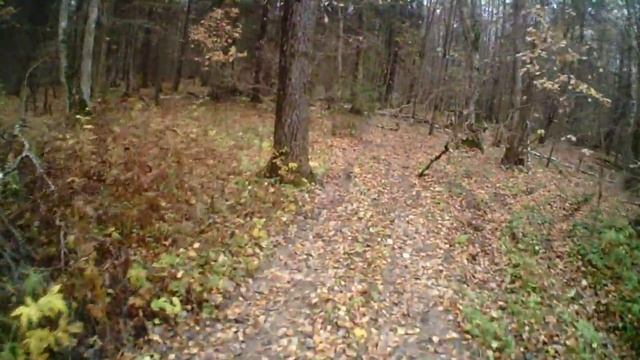 Kayo.12 10 2014 смотреть онлайн