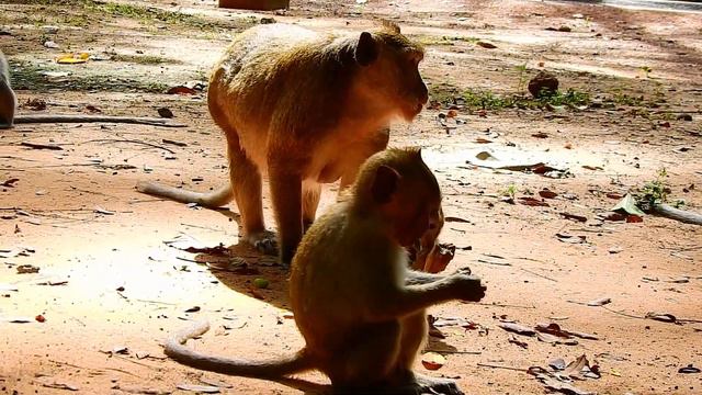 SMALL BABY MARIEL CRY ALLOW FROM JASON FRONT MOM MARIA ON THE GROUND | смотреть онлайн