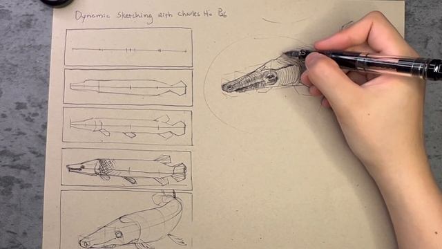 Dynamic Sketching With Charles Hu - Alligator Gar