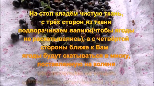 Как легко, быстро и просто перебрать ЯГОДЫ от мусора смотреть онлайн