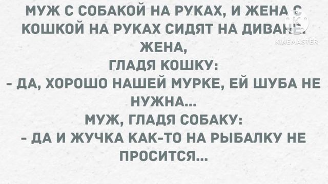 Петров проснулся сегодня в "приподнятом" настроении Сборник свежих анекдотов! Юмор! смотреть онлайн