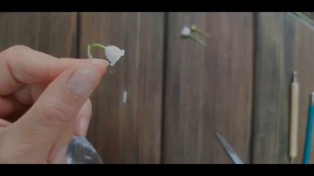 ландыш смотреть онлайн