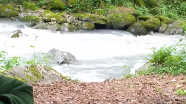 Панкиcское ущелье. Кистинская песня. смотреть онлайн