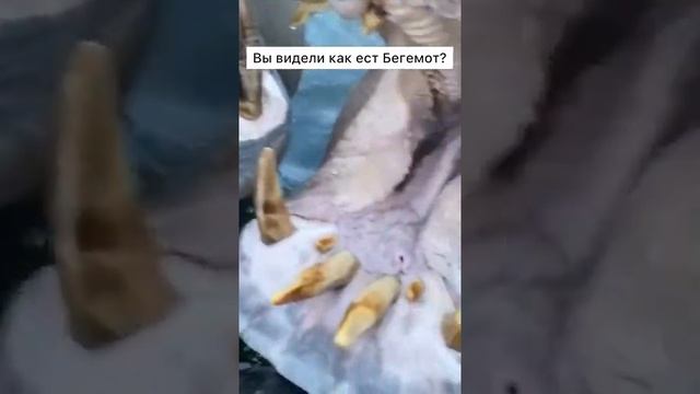 Как ест Бегемот? смотреть онлайн