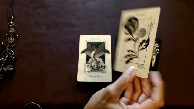 "Magickal Botanical Oracle "- Tarot Deck Review + Insights смотреть онлайн