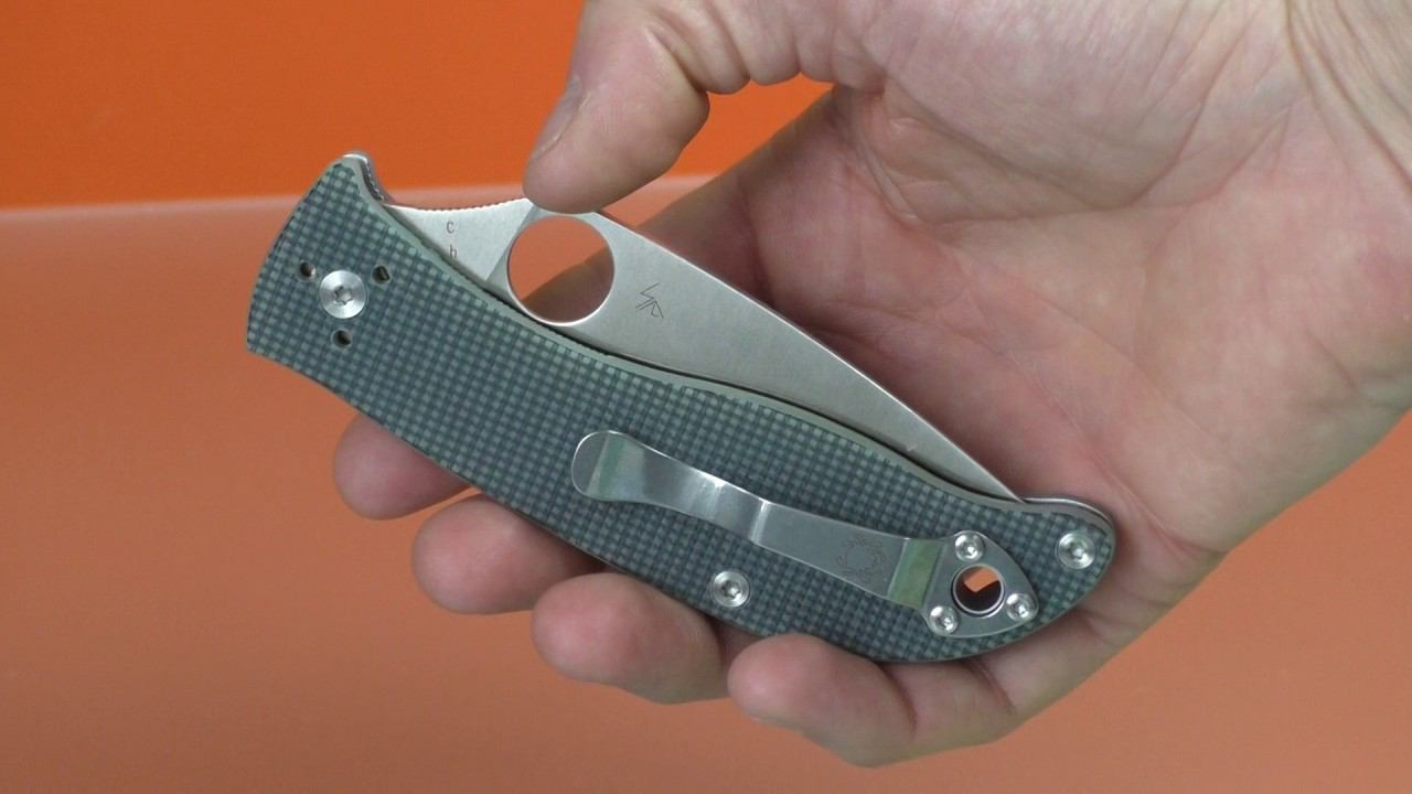 Spyderco C220GPGY Polestar CTS BD1