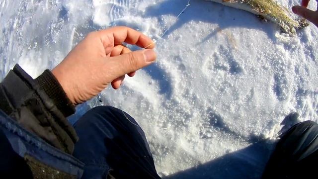 Щука, окунь, Хобда. Рыбалка в Актюбинской области смотреть онлайн