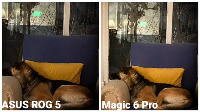 ASUS ROG Phone 5 Ultimate vs Red Magic 6 Pro | Camera Comparison смотреть онлайн