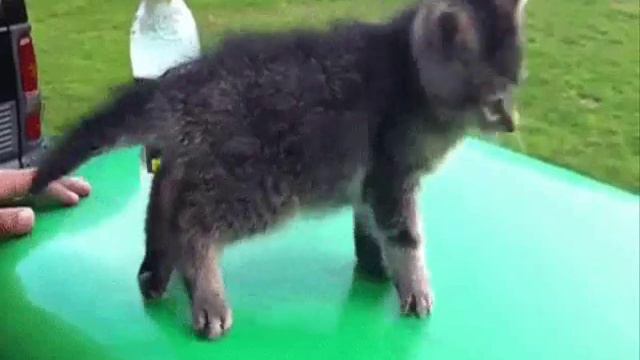 Mband-Она вернётся(Дублированный ролик) смотреть онлайн