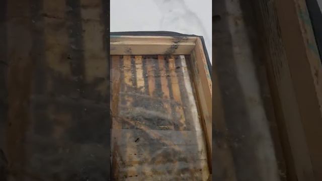 Как подкормить пчел. Пчеловодство.