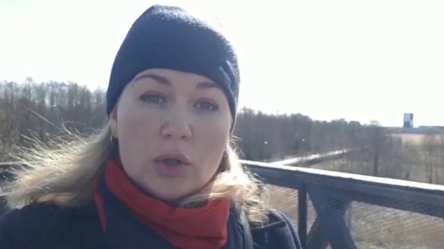 Порванный цветок смотреть онлайн