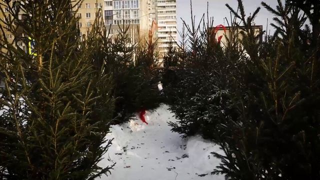 НОВАЯ РАБОЧАЯ НЕДЕЛЯ БУДЕТ НАСЫЩЕННОЙ И МОРОЗНОЙ смотреть онлайн