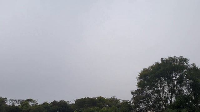 Allan Holdsworth Trio, Hollywood (1997)