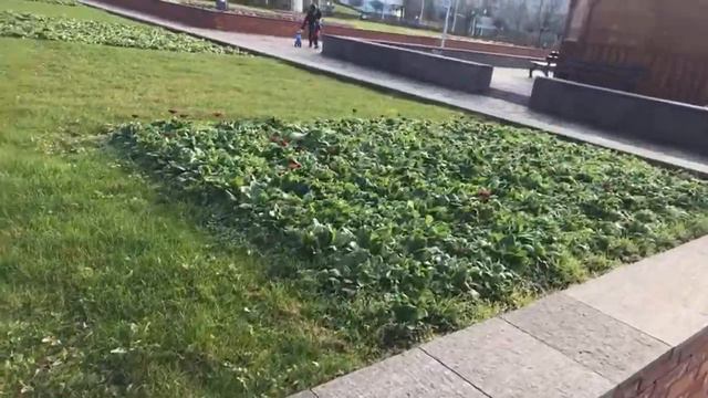 Мои думы …. смотреть онлайн