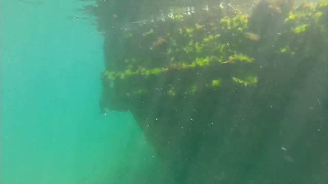 Сентябрь на черном море смотреть онлайн