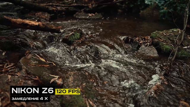 Nikon Z5. Обзор и сравнение с Nikon Z6. смотреть онлайн