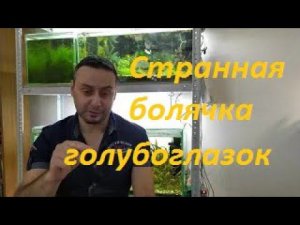 Птичий Рынок и Болезни аквариумных рыб. Часть 2. (Архив от 7.12.2021)