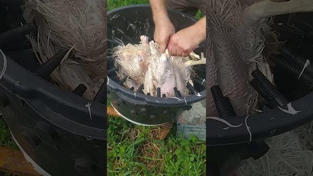 телефон изготовителя8 9277856960 смотреть онлайн