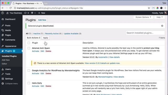 Delete WordPress Plugins #7 смотреть онлайн