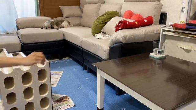 【DIY】犬用階段を手作りしてみました！ смотреть онлайн