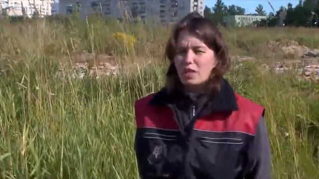 Собаки спасатели. Породы собак спасателей их описание, особенности дрессировки смотреть онлайн