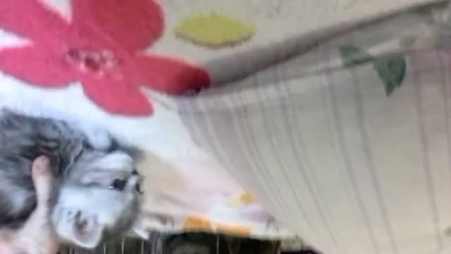 Моё первое видио Камера Плохо работает