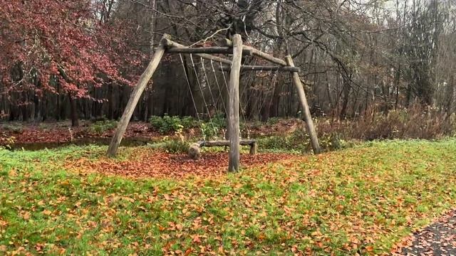 Прогулка в парке в воскресенье. Шотландия. Ноябрь. Осень. смотреть онлайн