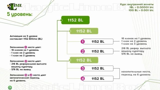 Маркетинг программы Лайм. Лайм Академия.