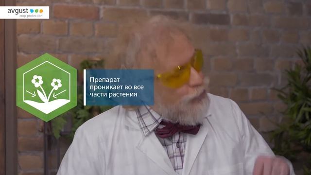 Биотлин от тли. Инструкция и особенности применения смотреть онлайн