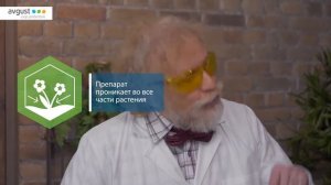 Биотлин от тли. Инструкция и особенности применения